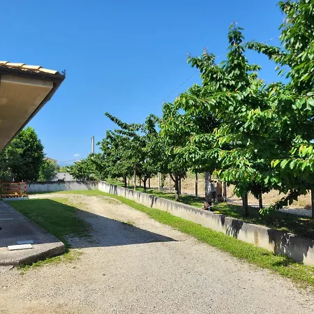 Collina Fiorita
