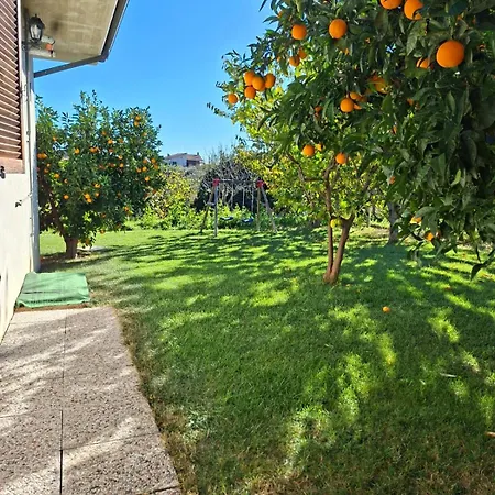 Collina Fiorita Tollo