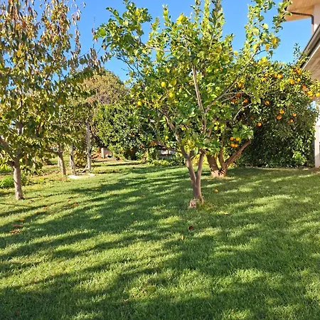 Collina Fiorita 度假居