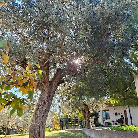 Collina Fiorita 度假居 Tollo