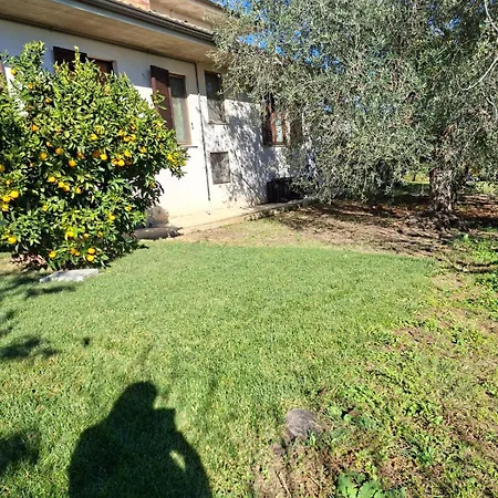 度假居 Collina Fiorita Tollo