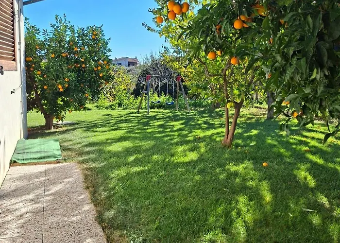 Collina Fiorita Tollo