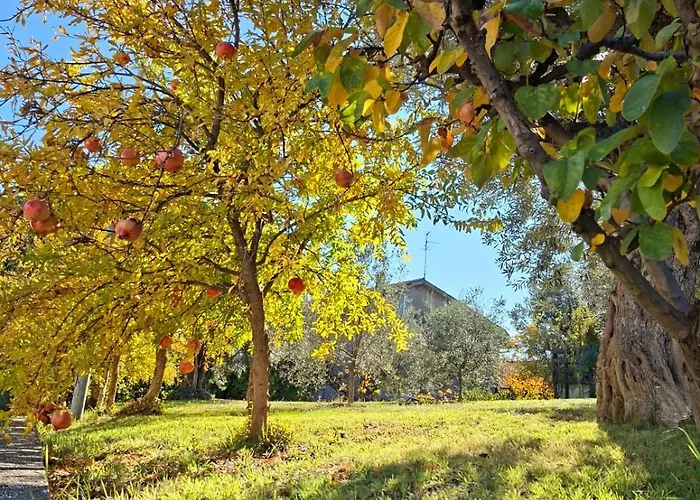 Collina Fiorita Tollo