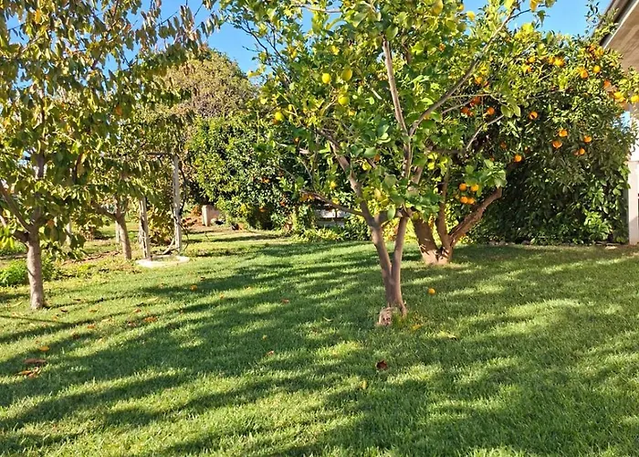 Collina Fiorita Дом отдыха