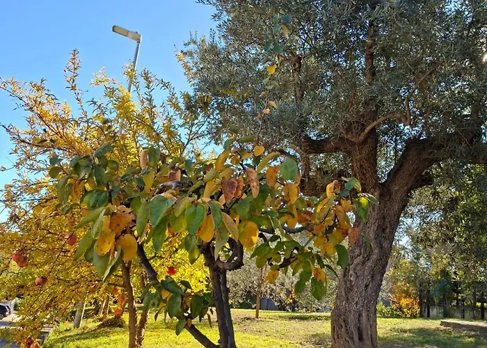 Collina Fiorita Дом отдыха *