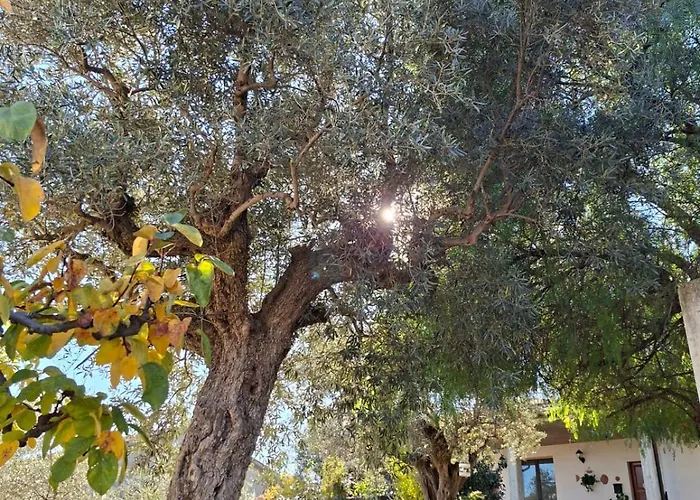 Collina Fiorita Дом отдыха Tollo