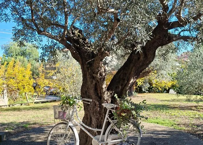 Дом отдыха Collina Fiorita Tollo