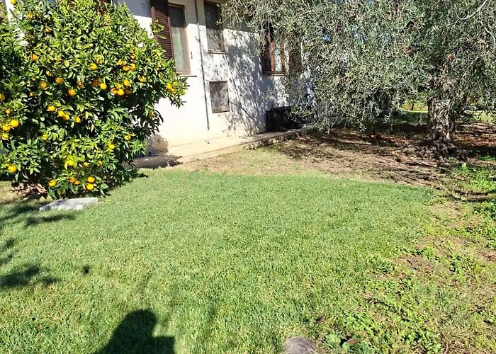 Ferienhaus Collina Fiorita Tollo